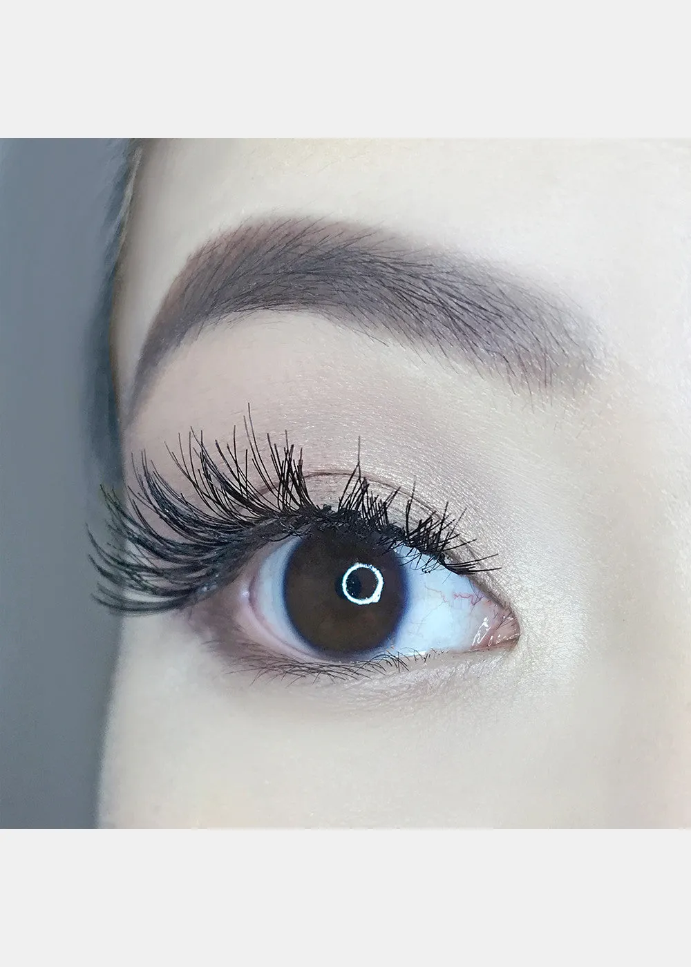 AOA Studio Eyelashes - Alexis