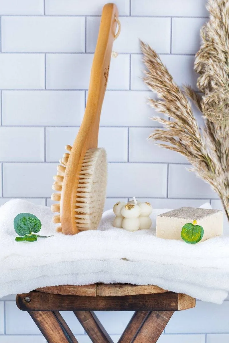 Bath Brush 2 In 1 with Free Loofah | Body Brush with Handle