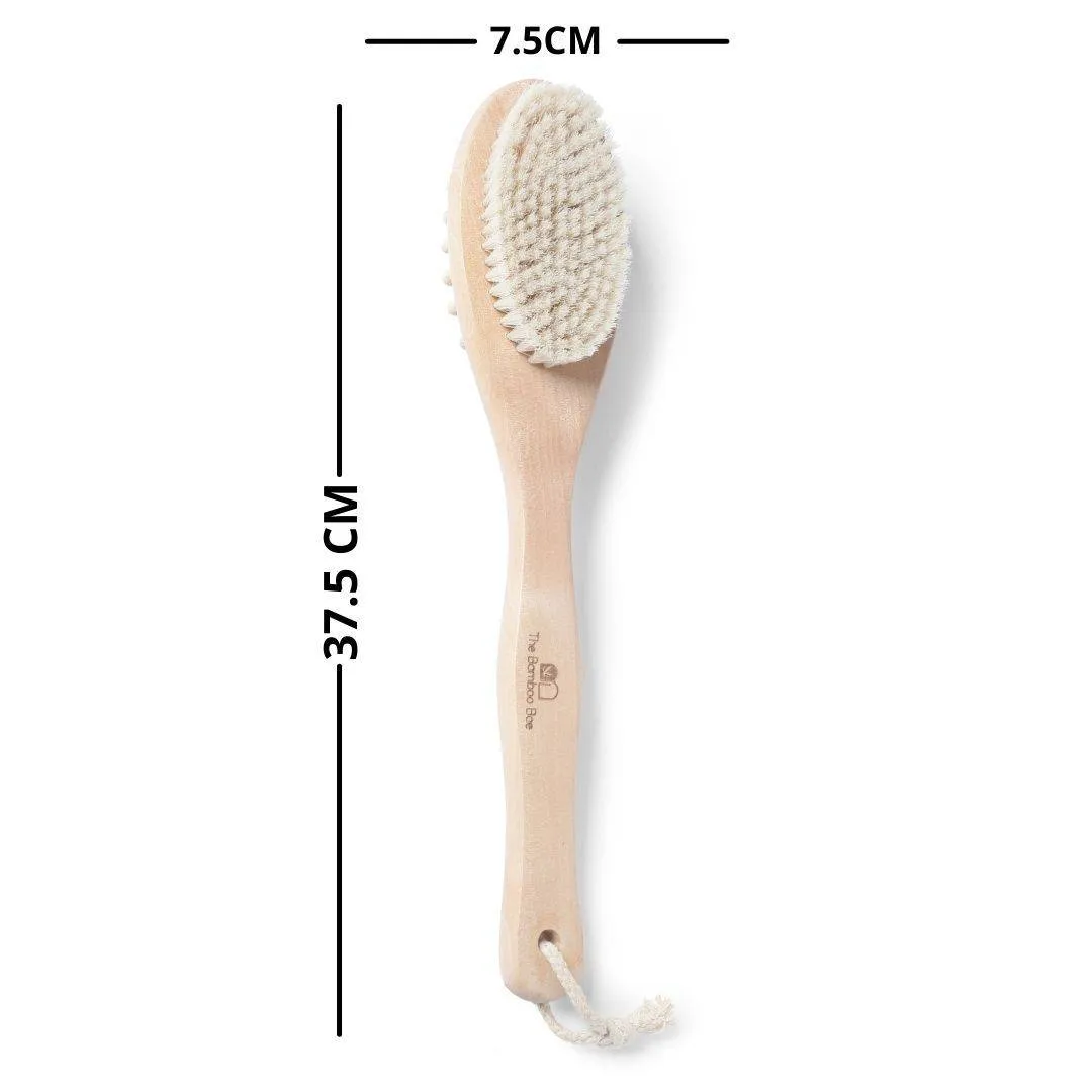 Bath Brush 2 In 1 with Free Loofah | Body Brush with Handle