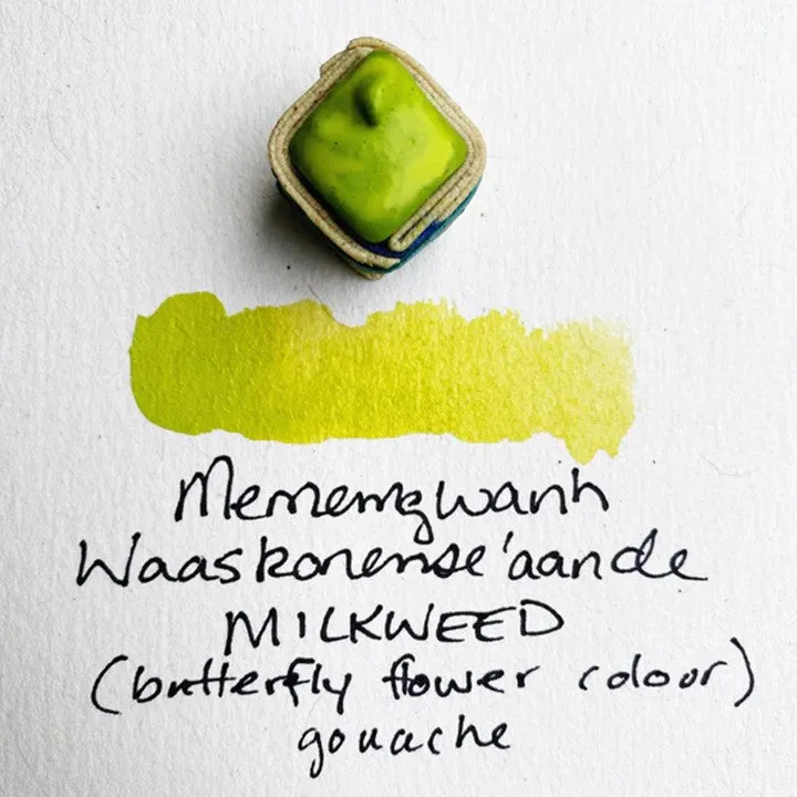 Georgian Bay Pine 11 Indigenous Watercolour Palette by BEAM Paints