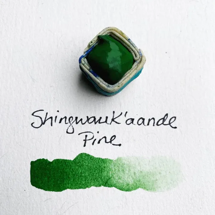 Georgian Bay Pine 11 Indigenous Watercolour Palette by BEAM Paints