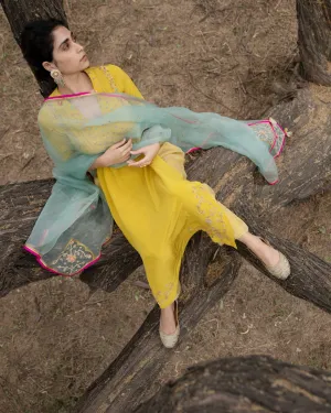 Heeriye Pintuck Kurta Set