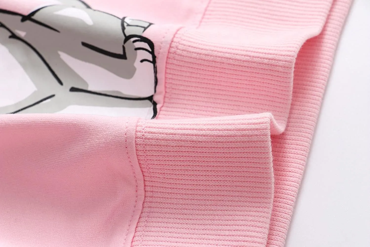 RETSUGO Toddler Baby Girls Sweatshirts Casual Pullover Crewneck Winter Long Sleeve Tops Shirts Clothes 3T-8T